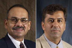 M.P. Narayanan and H. Nejat Seyhun