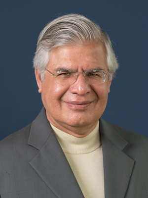 Aneel Karnani
