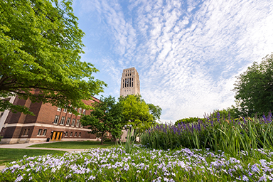 UM campus in the summer with the clock tower and lots of greenery