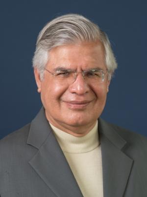 Aneel Karnani